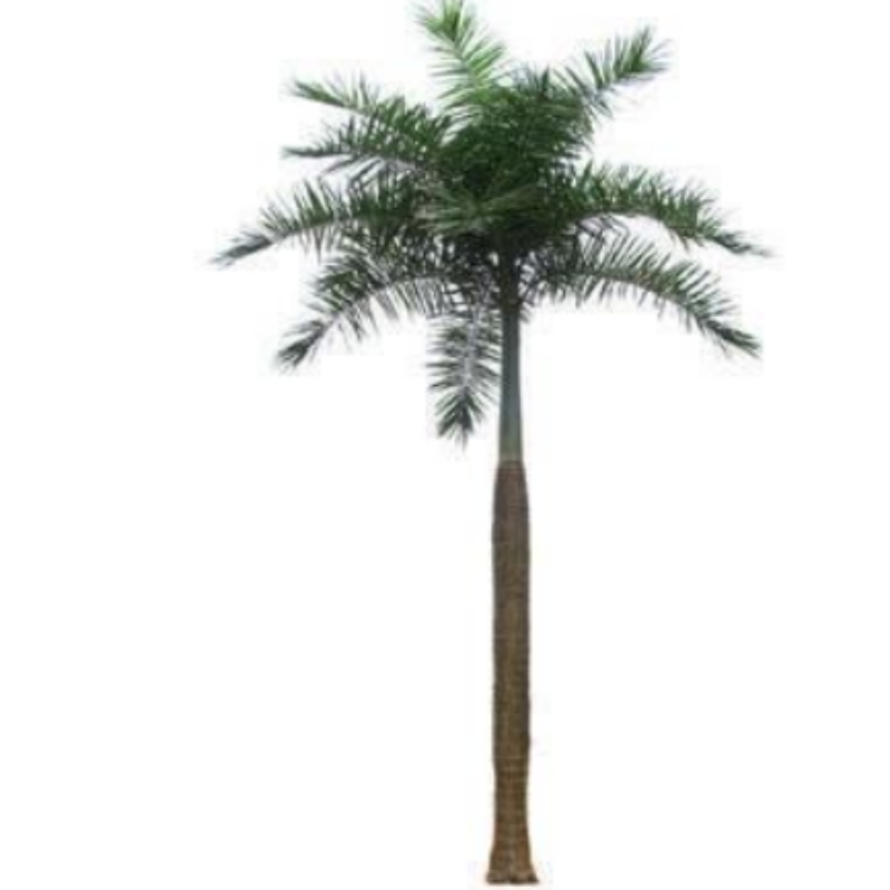 Duże sztuczne drzewa kokosowe na zewnątrz