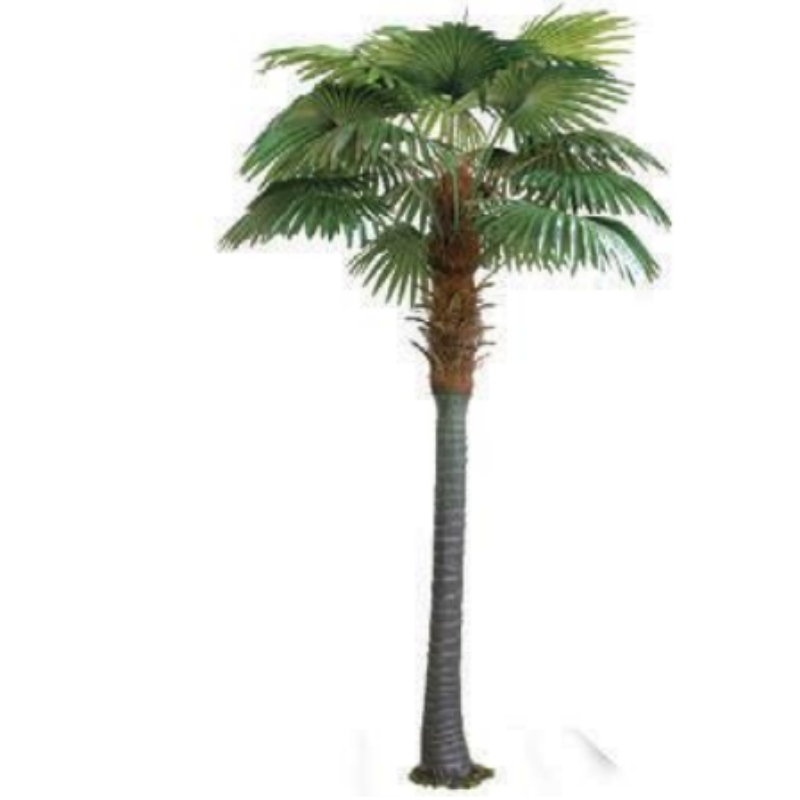 Drzewa palmowe na świeżym powietrzu